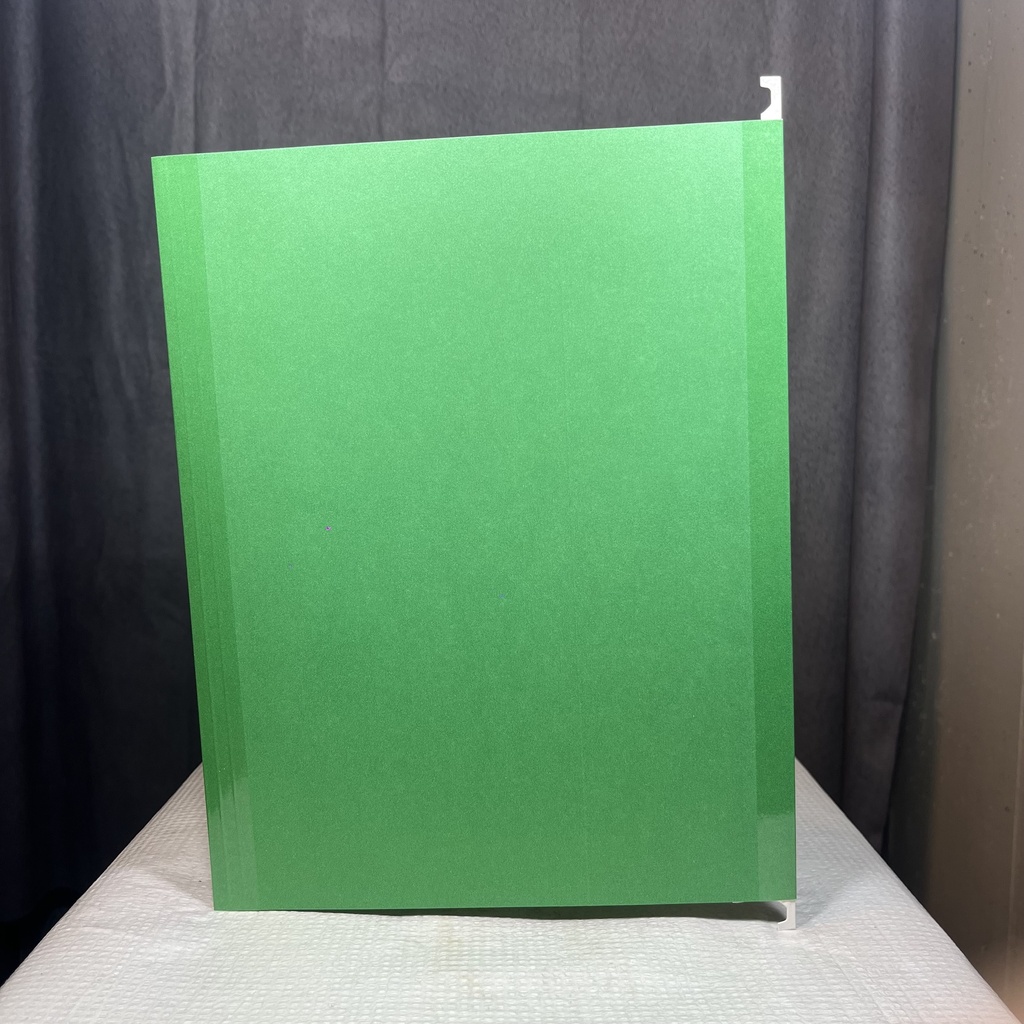 FOLDER, HANGING FILE GREEN
