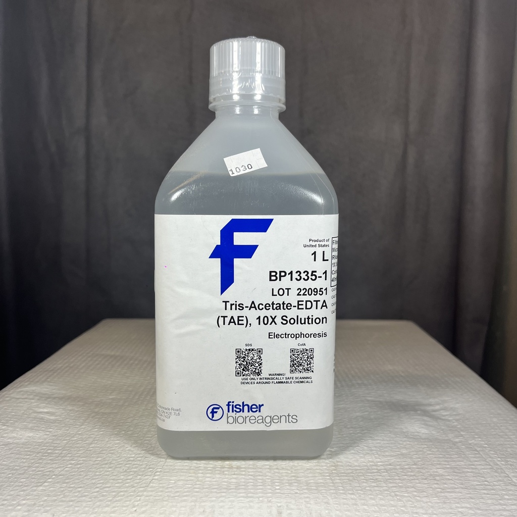 TAE 10X, 1000 ML TRIS BUFFER